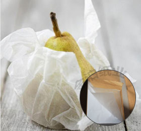 450克白板紙-厚克重(400-450克)涂布白板紙涂布表面折光看有暗點,是否霉點